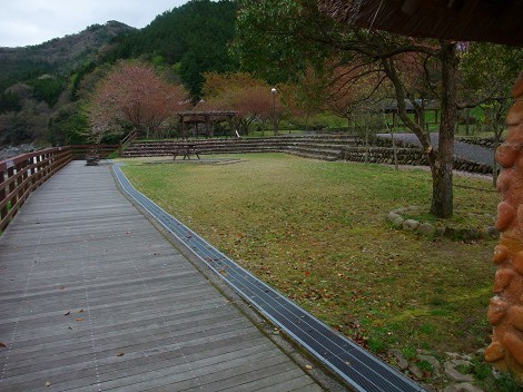 川代公園キャンプ場