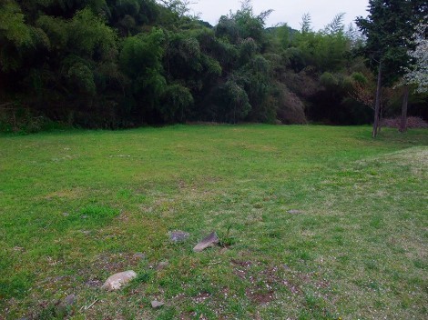 川代公園キャンプ場