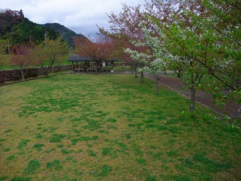 川代公園キャンプ場