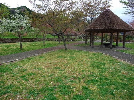 川代公園キャンプ場