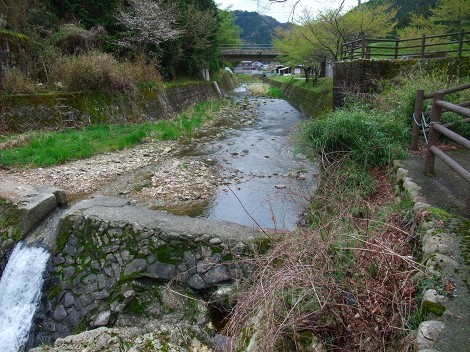 川代公園キャンプ場