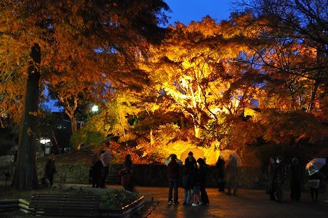 神戸市立須磨離宮公園