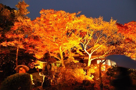 神戸市立須磨離宮公園