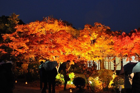 神戸市立須磨離宮公園