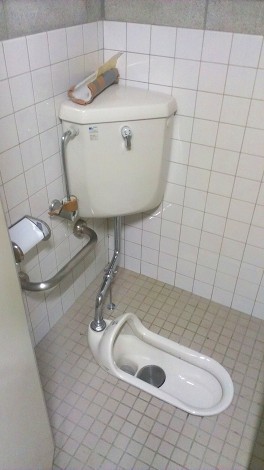 IMAG0156.jpg