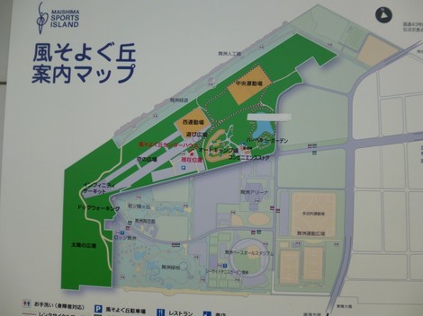 P1010281.jpg