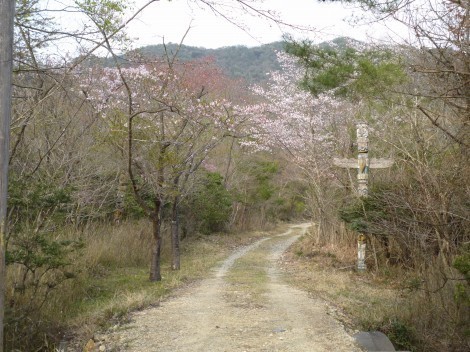 武嶋キャンプ場で初のソロキャンプ