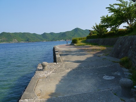 休暇村南淡路 オートキャンプ場での海釣り