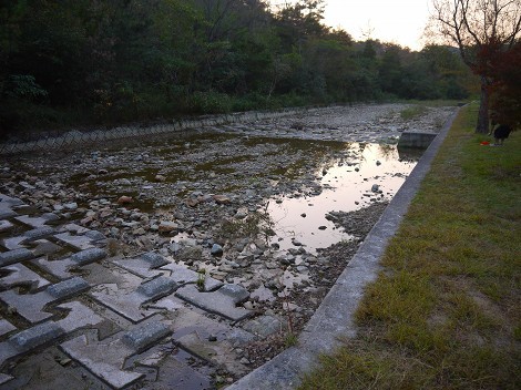 古法華自然公園キャンプ場