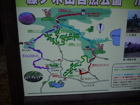 南山田キャンプ場